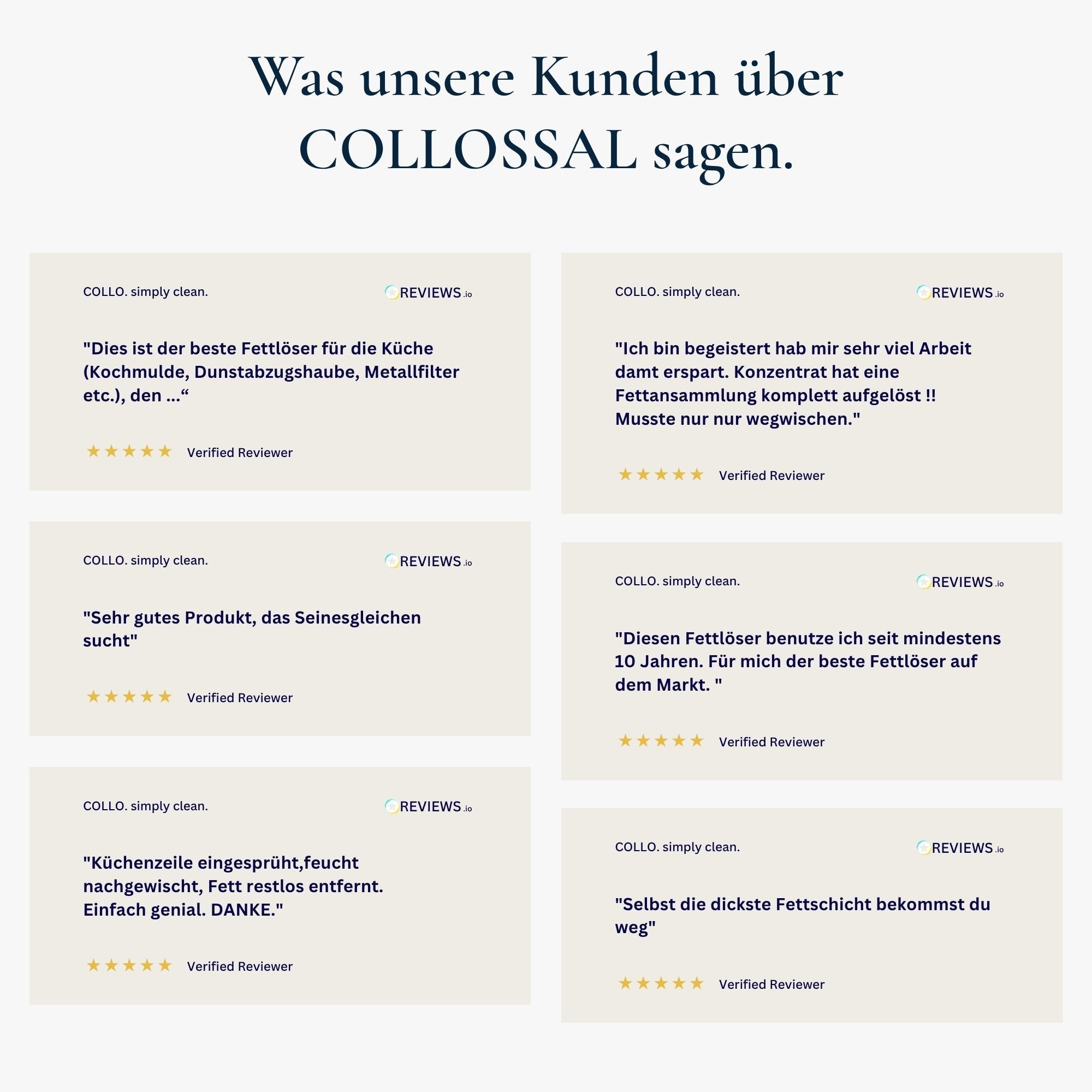 COLLOSSAL Fettlöser - 0010 - COLLO. simply clean.