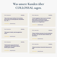 Thumbnail for COLLOSSAL Fettlöser - 0010 - COLLO. simply clean.