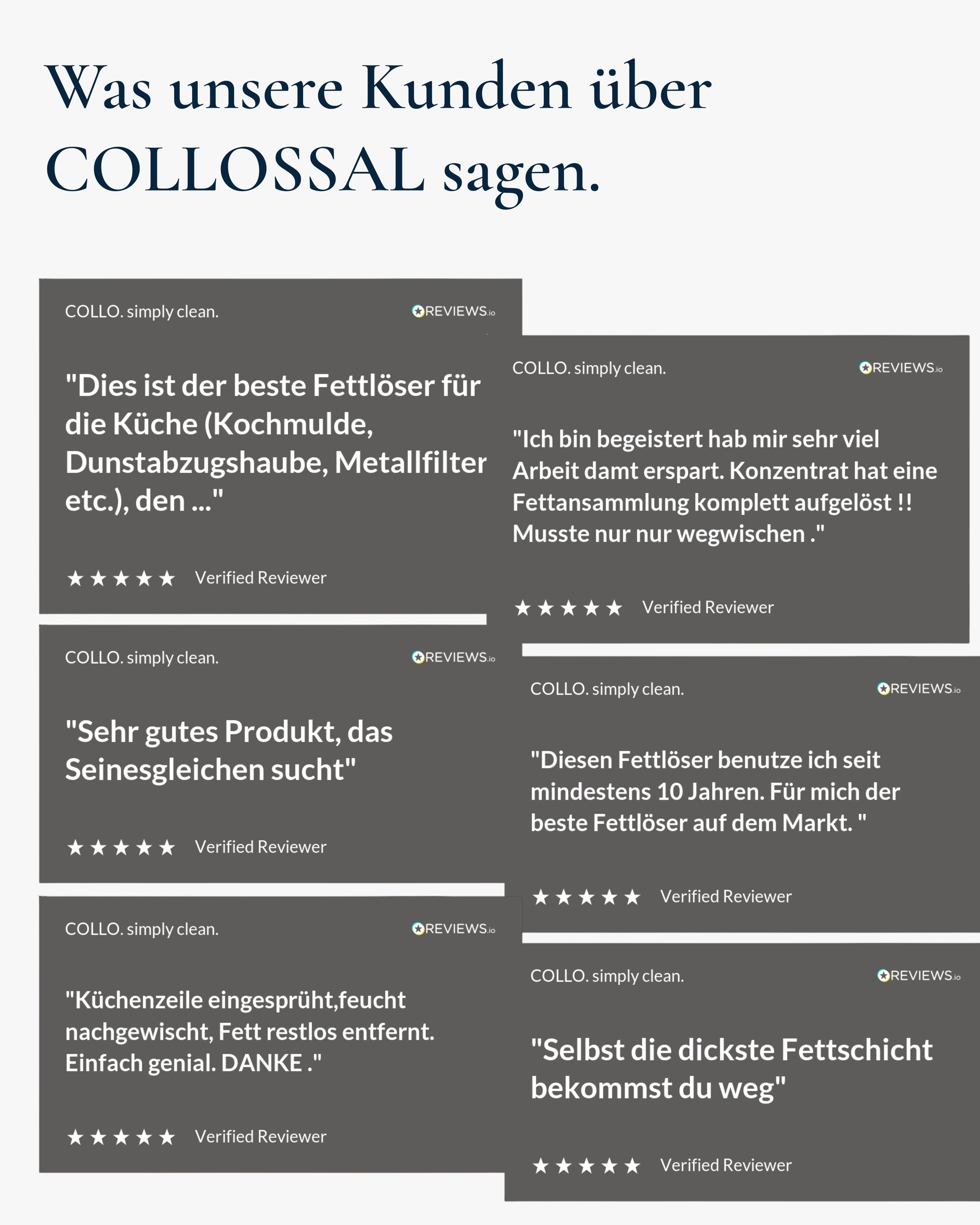 Fettlöser für Küche & Grill - 0010 - COLLO. simply clean.